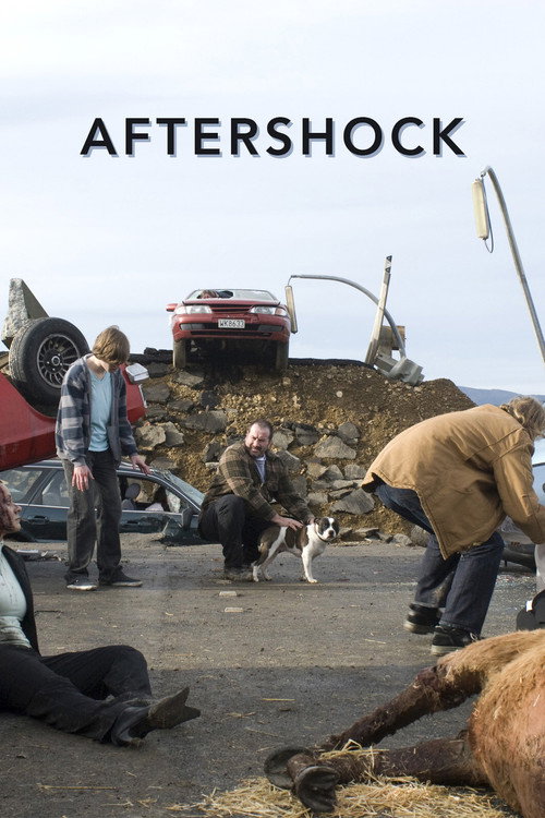 Aftershock — постер