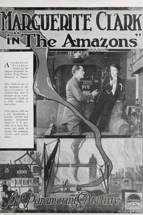 The Amazons — постер