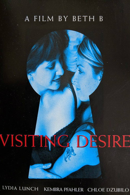 Visiting Desire — постер