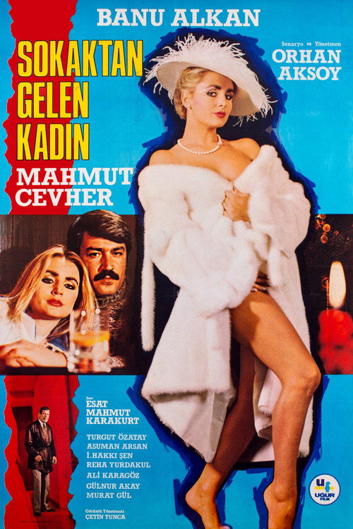 Sokaktan Gelen Kadın — постер