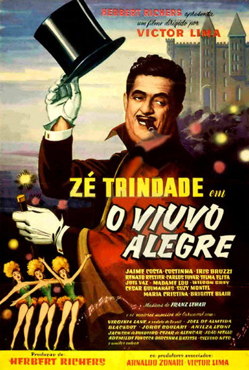 O Viúvo Alegre — постер