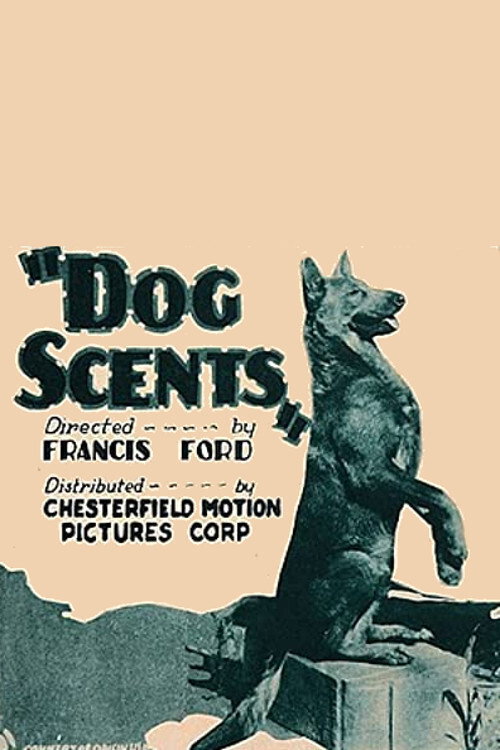 Dog Scents — постер