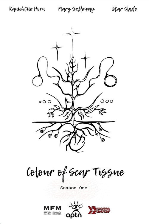 Colour of Scar Tissue — постер