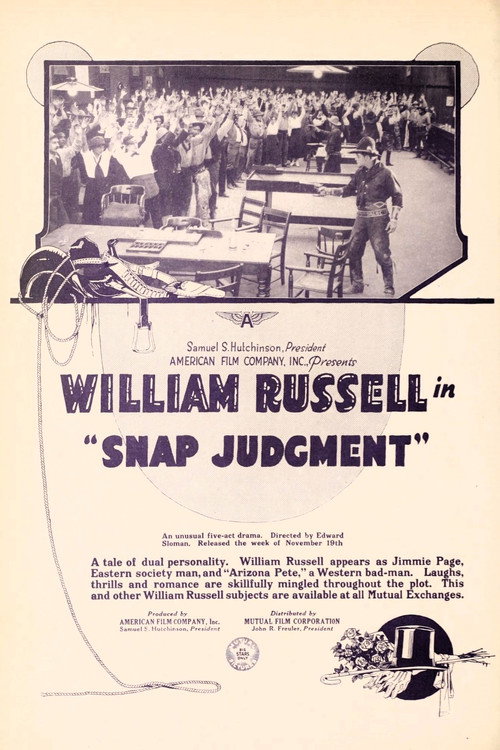Snap Judgment — постер