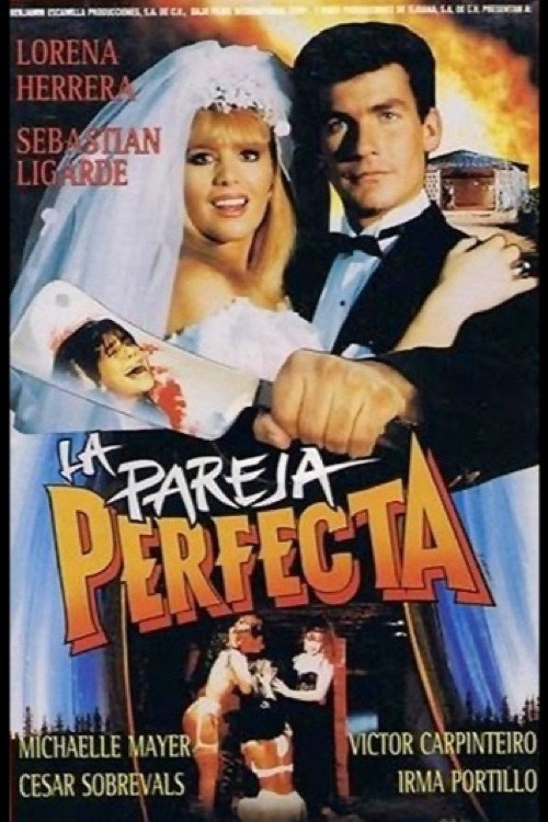 La pareja perfecta — постер