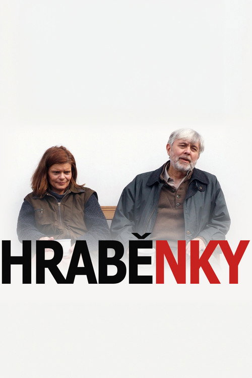 Hraběnky — постер