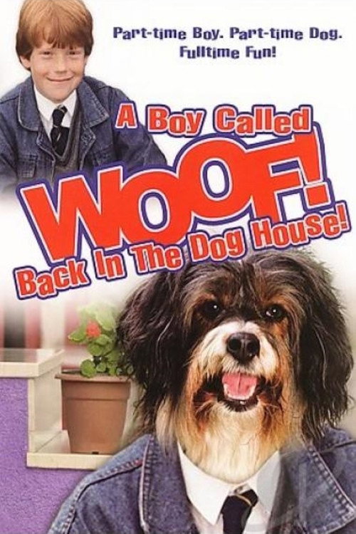 A Boy Called Woof! — постер