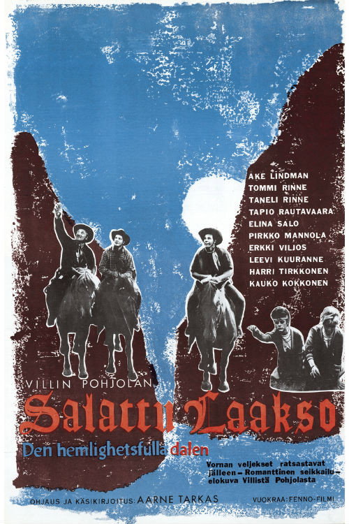 Villin Pohjolan salattu laakso — постер