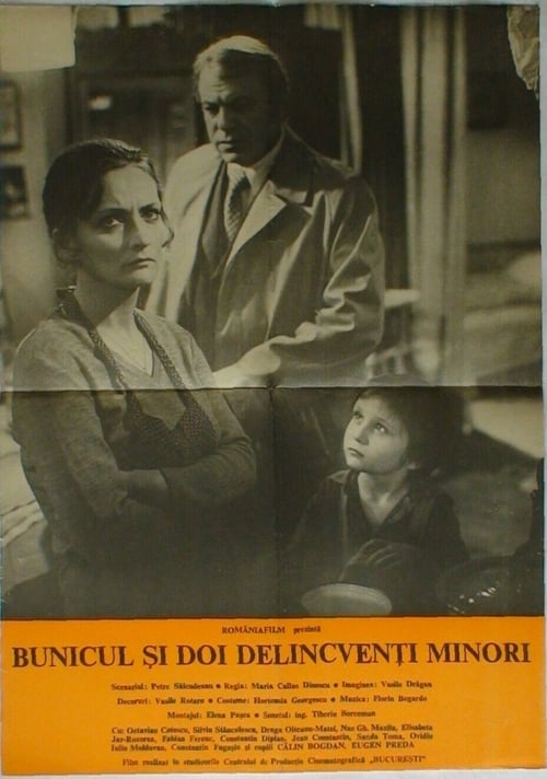 Bunicul și doi delicvenți minori — постер