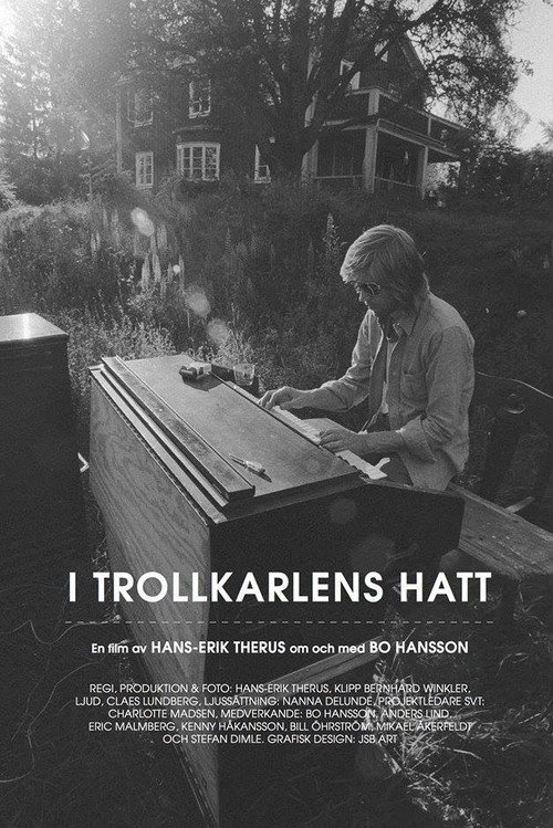 I Trollkarlens hatt — постер