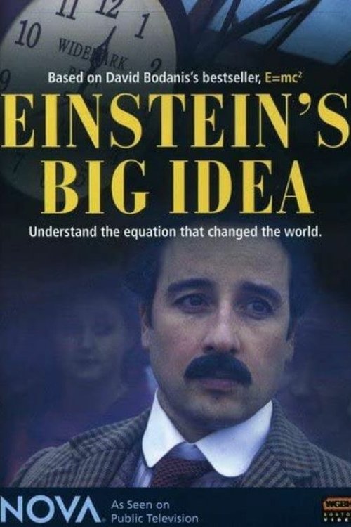 Einstein's Big Idea — постер