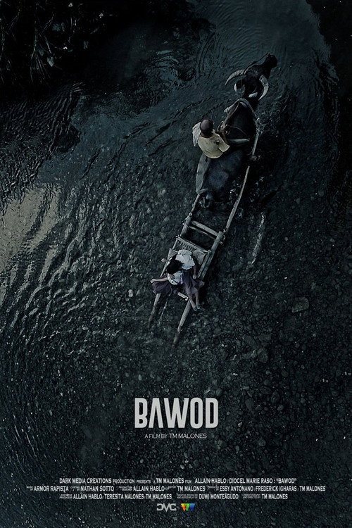 Bawod — постер