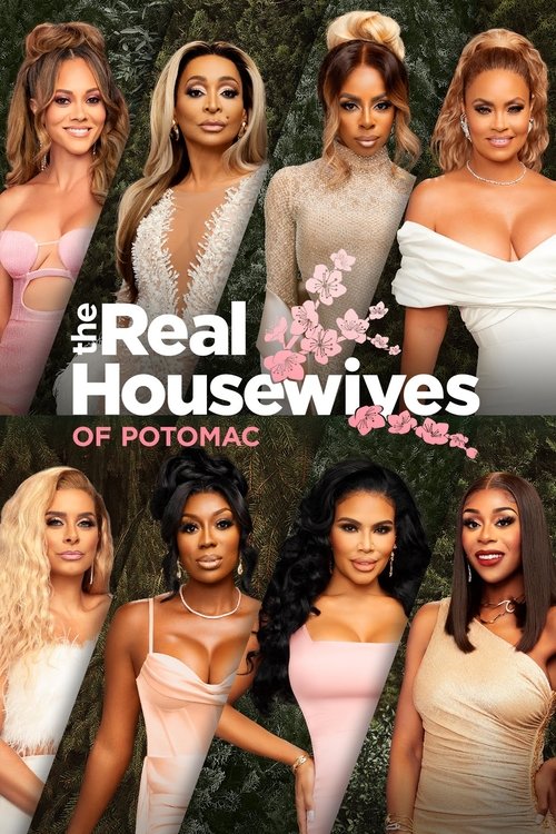 The Real Housewives of Potomac — постер