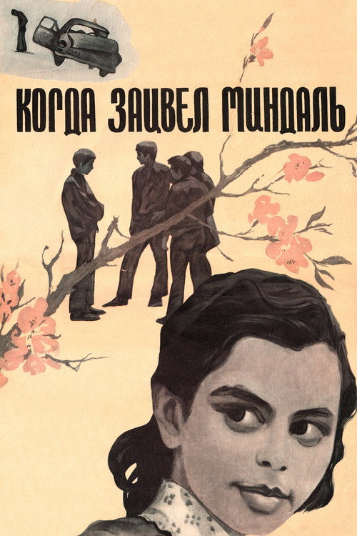 Когда зацвёл миндаль — постер