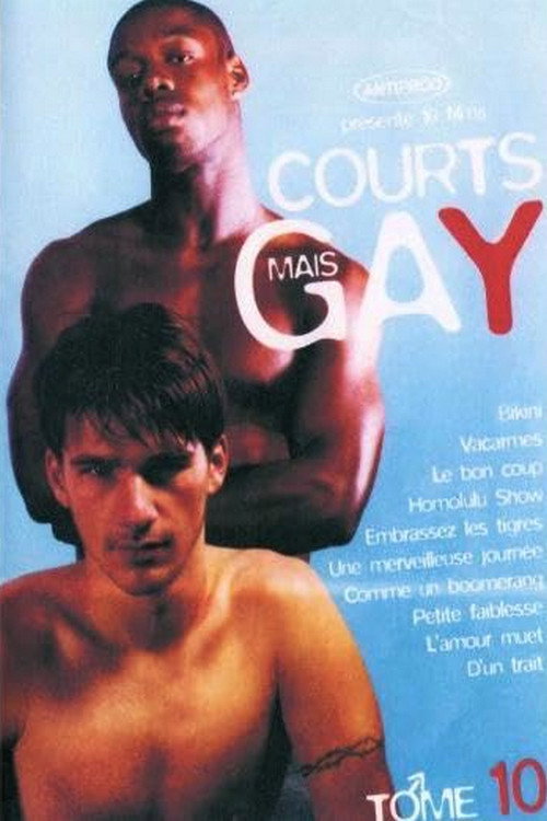 Courts mais Gay : Tome 10 — постер