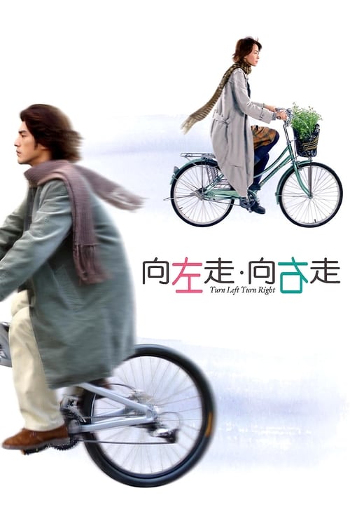 向左走．向右走 — постер