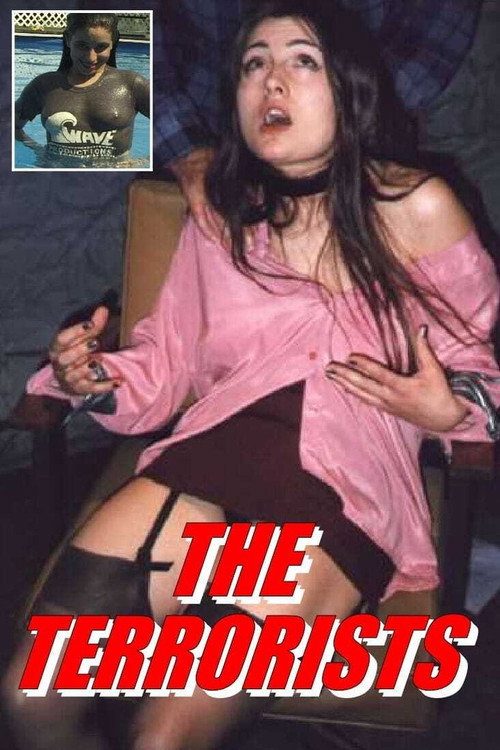 The Terrorists — постер