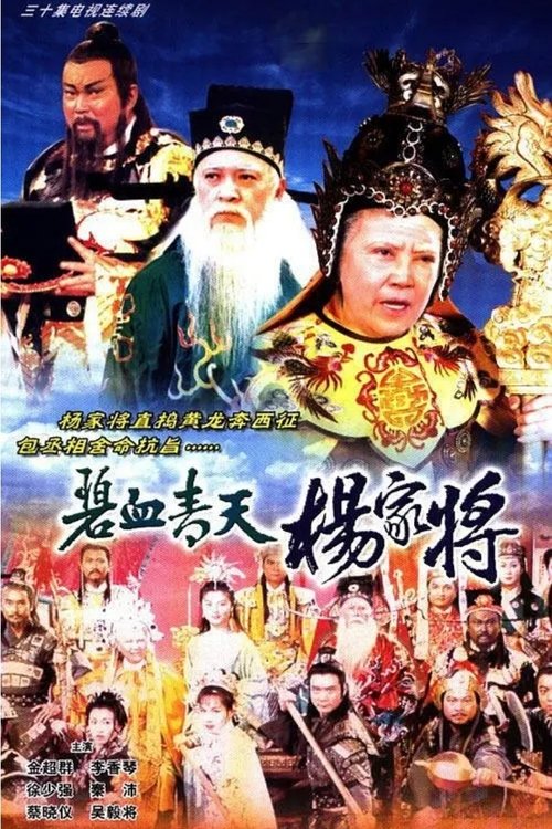 碧血青天楊家將 — постер