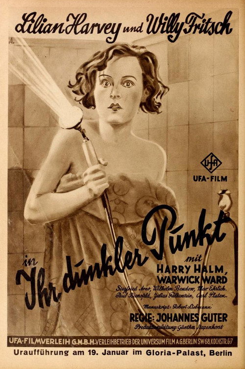 Ihr dunkler Punkt — постер