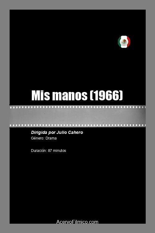 Mis manos — постер