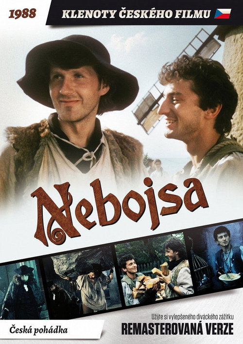 Nebojsa — постер