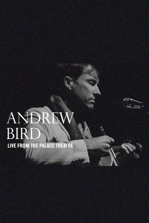 Andrew Bird: Live From The Palace Theatre — постер