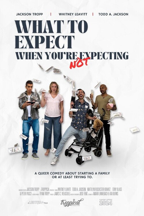What to Expect When You're Not Expecting — постер