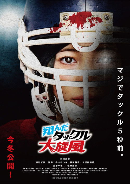 翔んだタックル大旋風 — постер