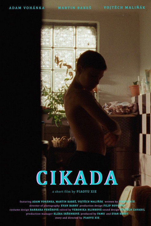 Cikáda — постер
