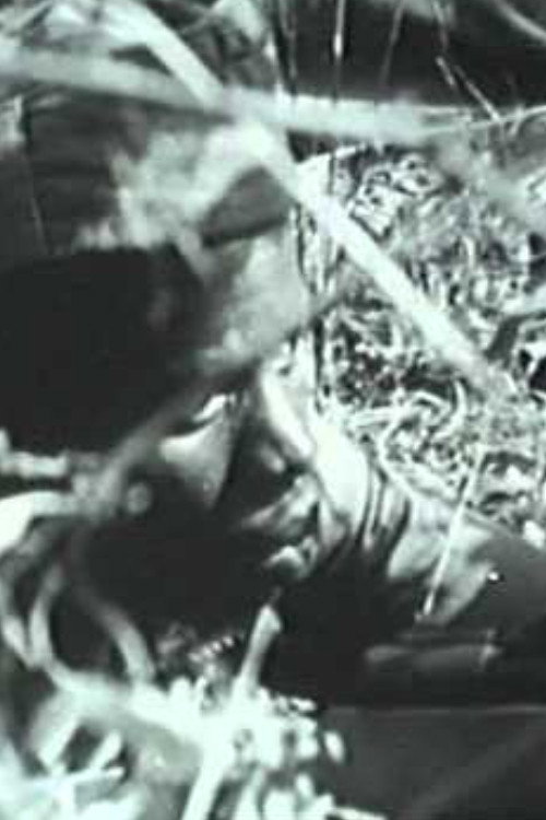 Anos de Guerra - Guiné 1963-1974 — постер