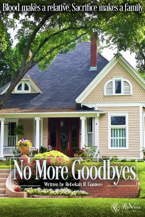 No More Goodbyes — постер