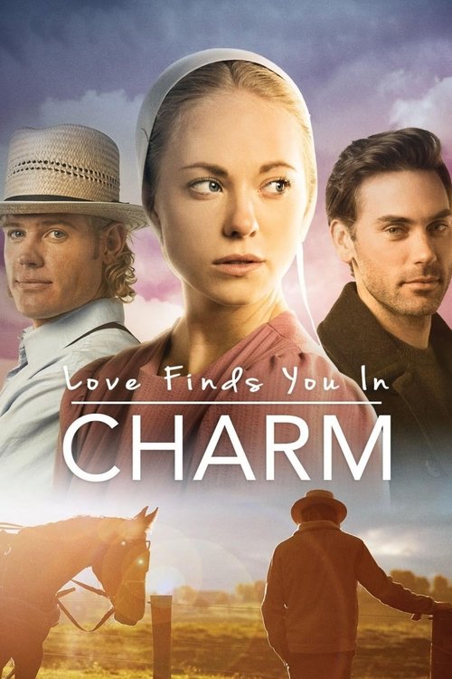 Love Finds You in Charm — постер