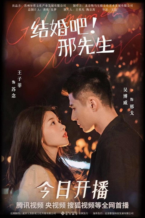 结婚吧！邢先生 — постер