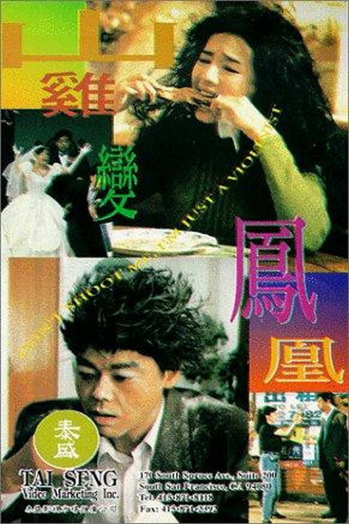 山雞變鳳凰 — постер