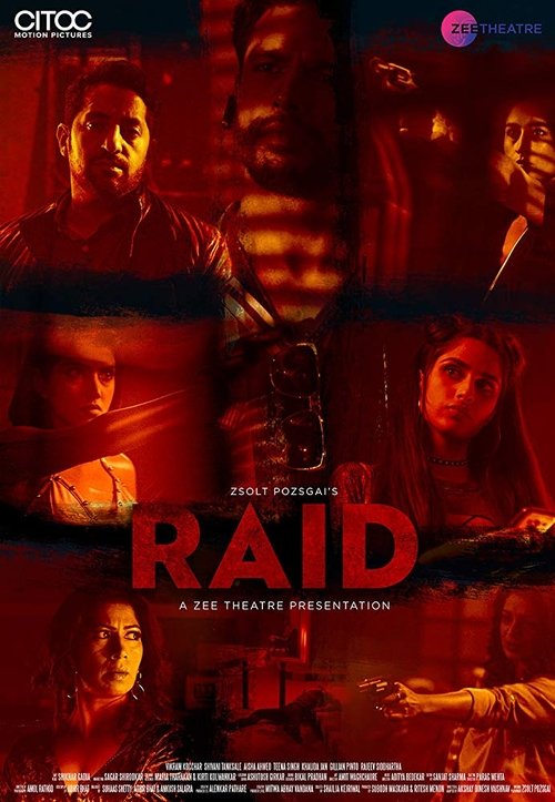 Raid — постер