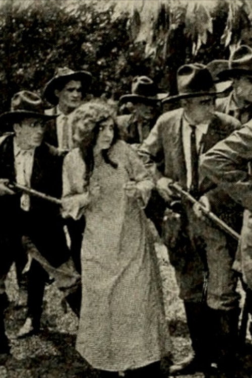 The Deputy's Peril — постер