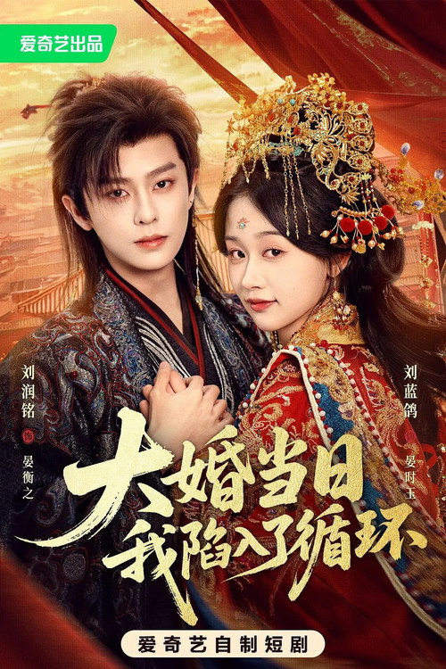 大婚当日我陷入了循环 — постер