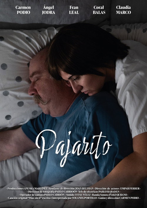 Pajarito — постер