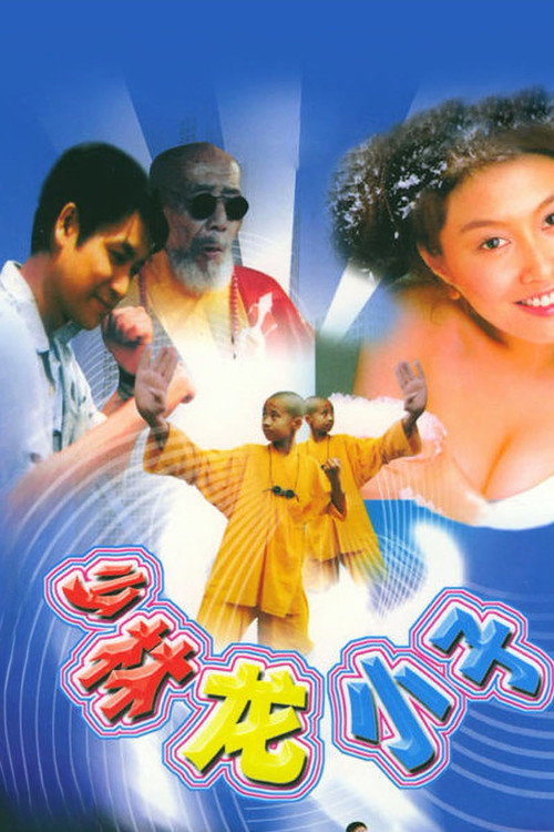 少林龙小子 — постер
