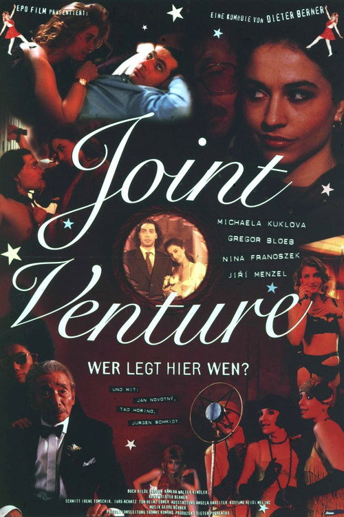 Joint Venture — постер