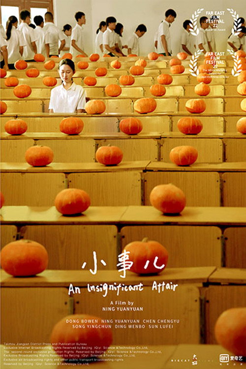 小事儿 — постер