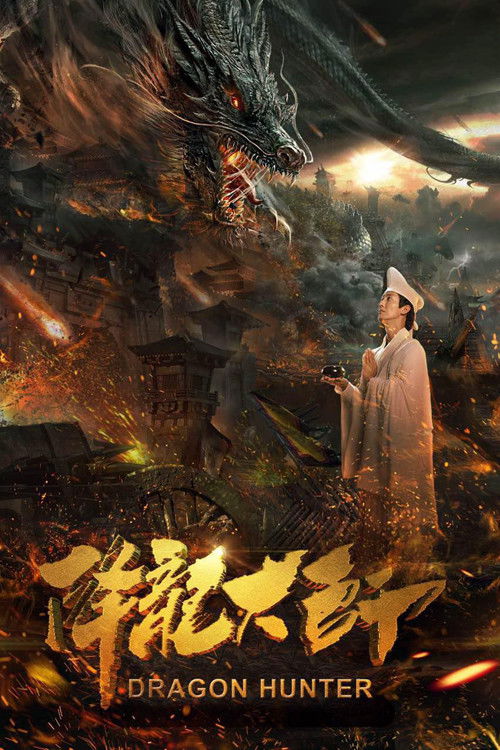 降龙大师 — постер