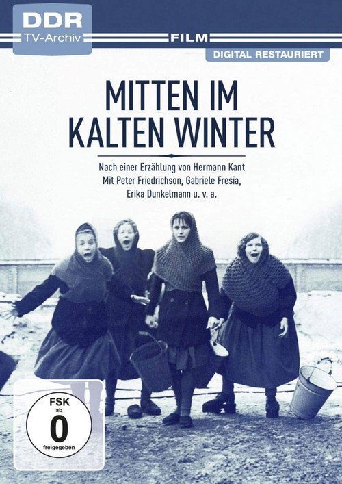 Mitten im kalten Winter — постер