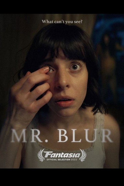 Mr. Blur — постер