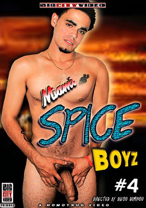 Miami Spice Boyz 4 — постер