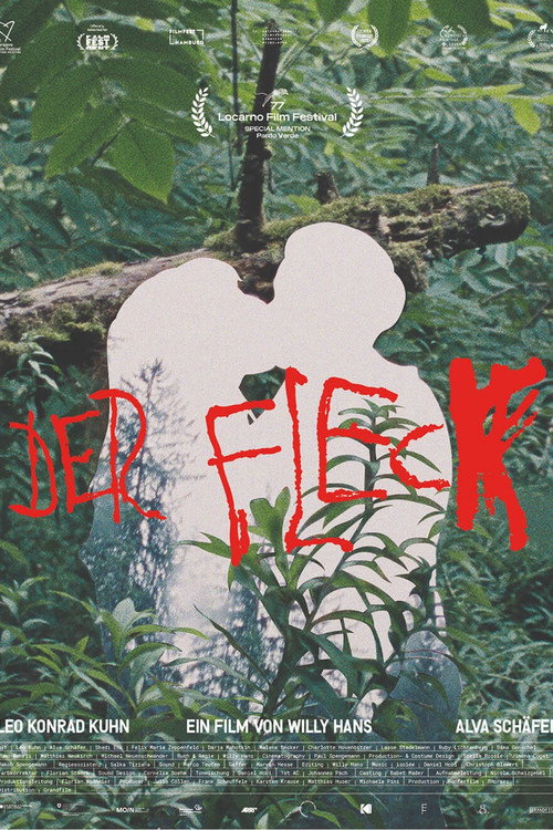 Der Fleck — постер
