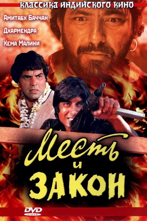 Месть и закон — постер