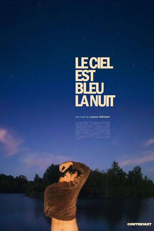 Le ciel est bleu la nuit — постер