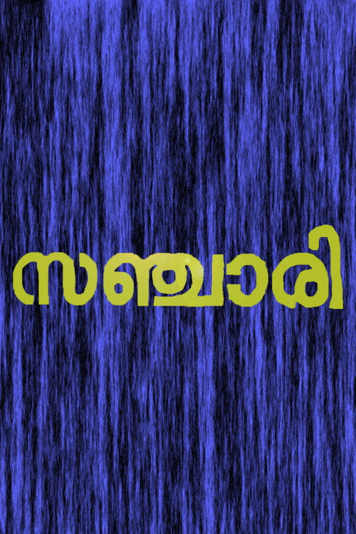 സഞ്ചരി — постер