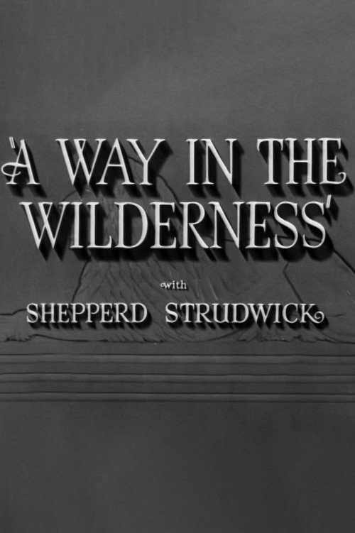 A Way in the Wilderness — постер